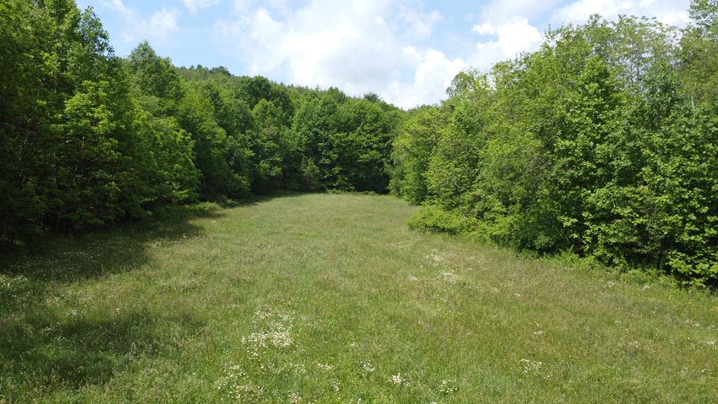 100 Wallace Road Property Photo 1