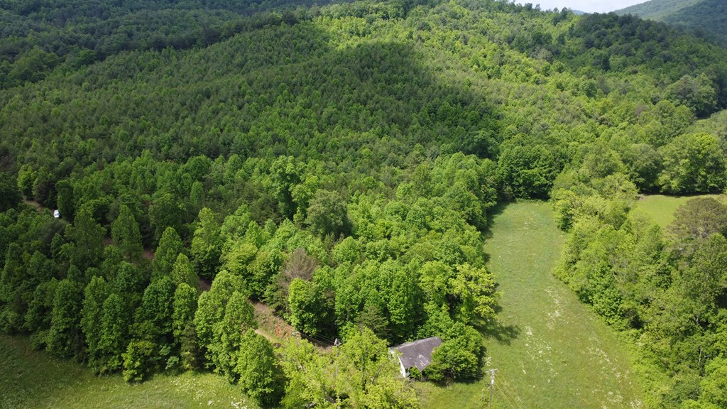 100 Wallace Road Property Photo 3
