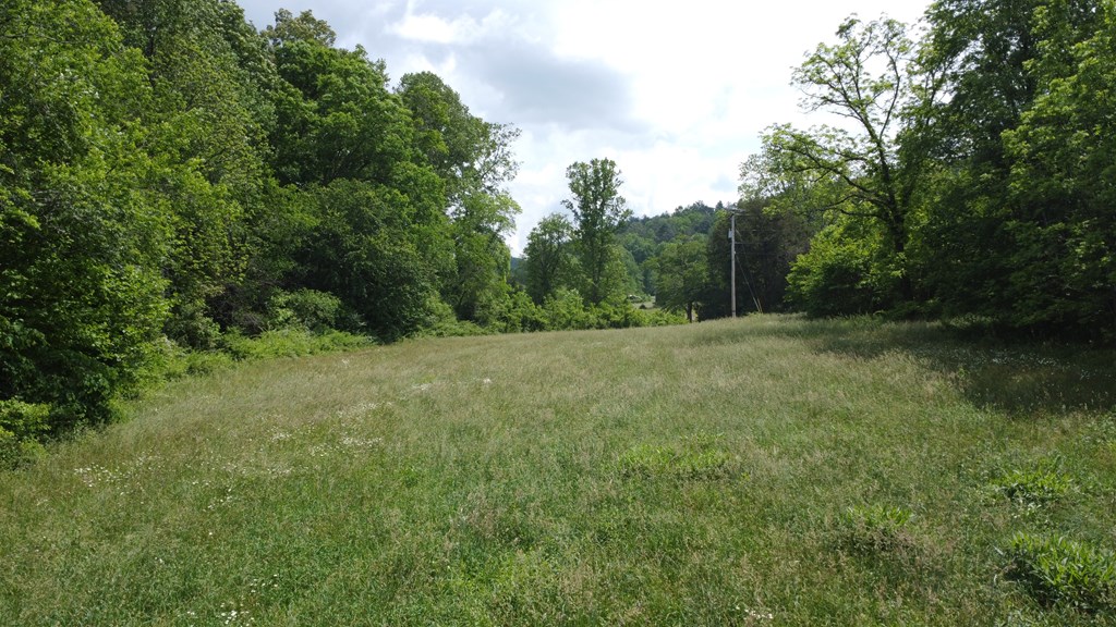 100 Wallace Road Property Photo 8