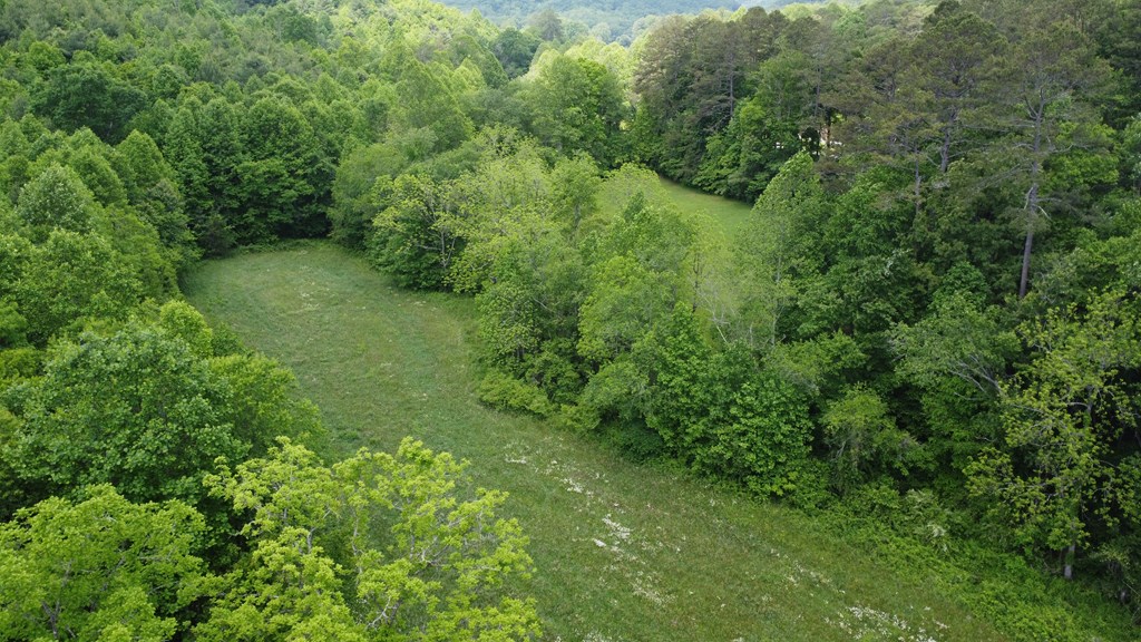 100 Wallace Road Property Photo 9
