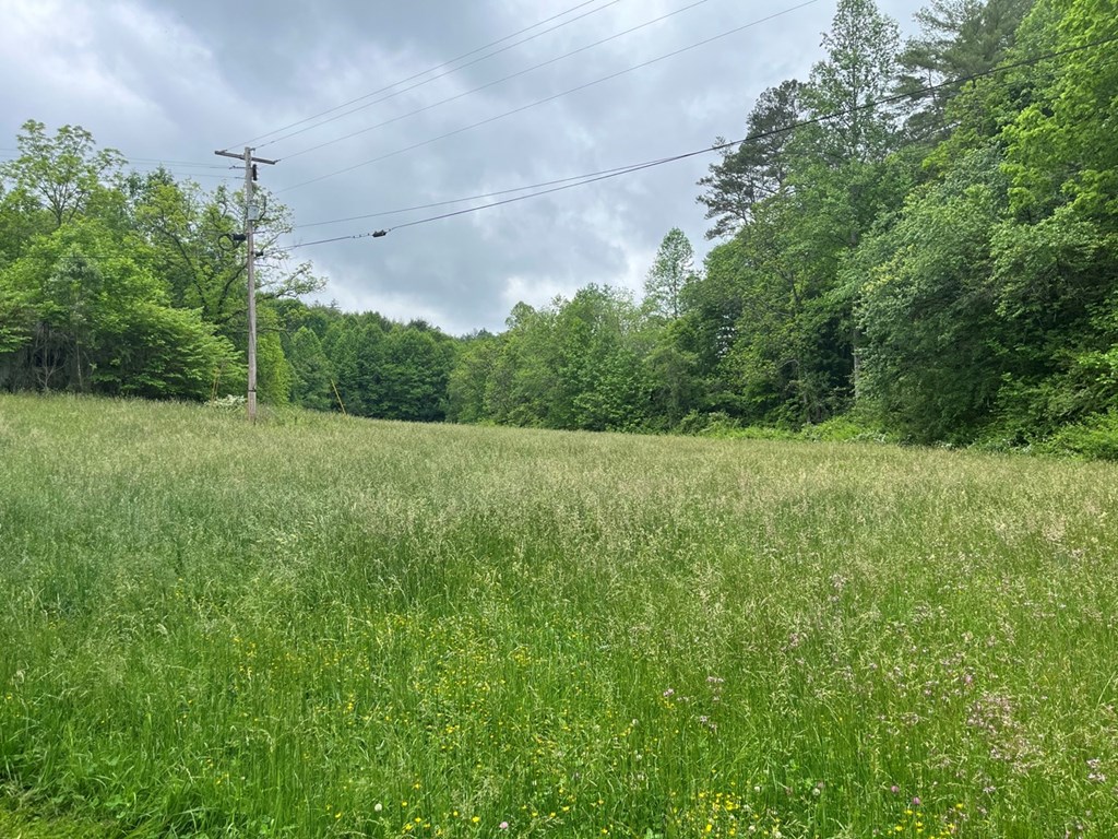 100 Wallace Road Property Photo 10