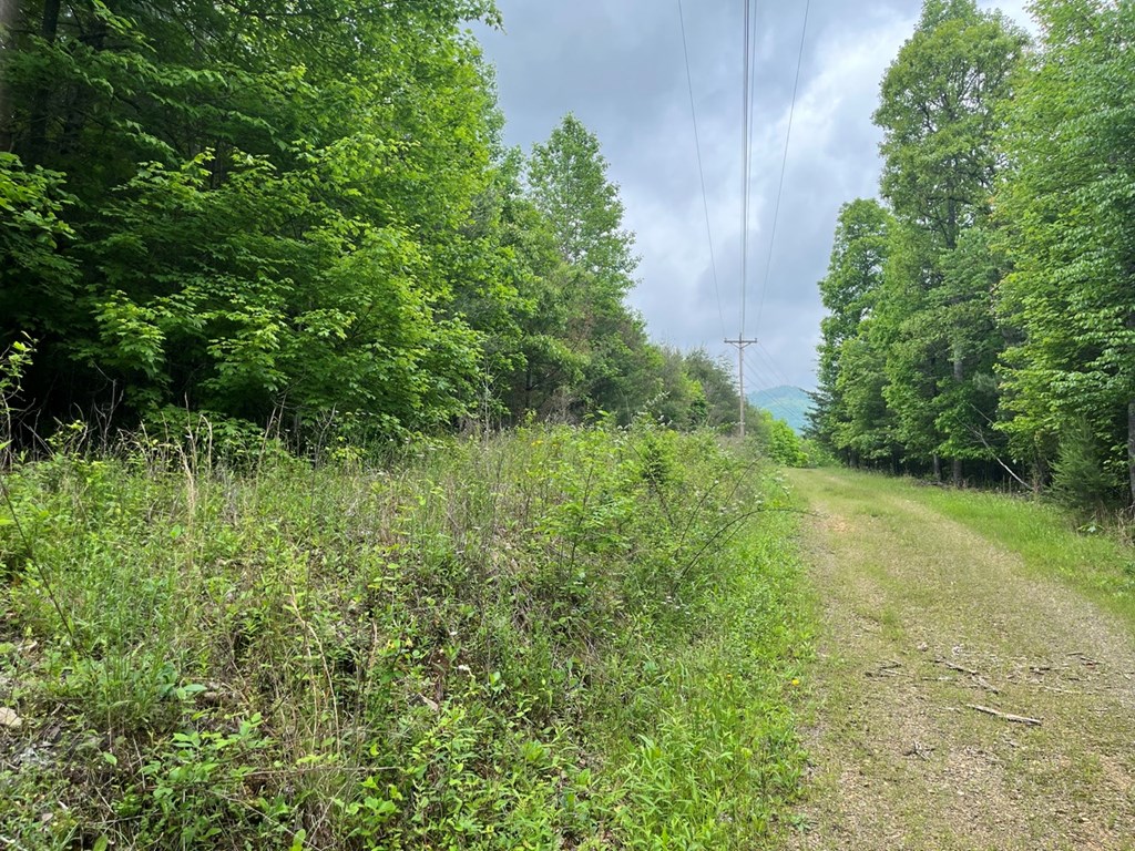 100 Wallace Road Property Photo 11