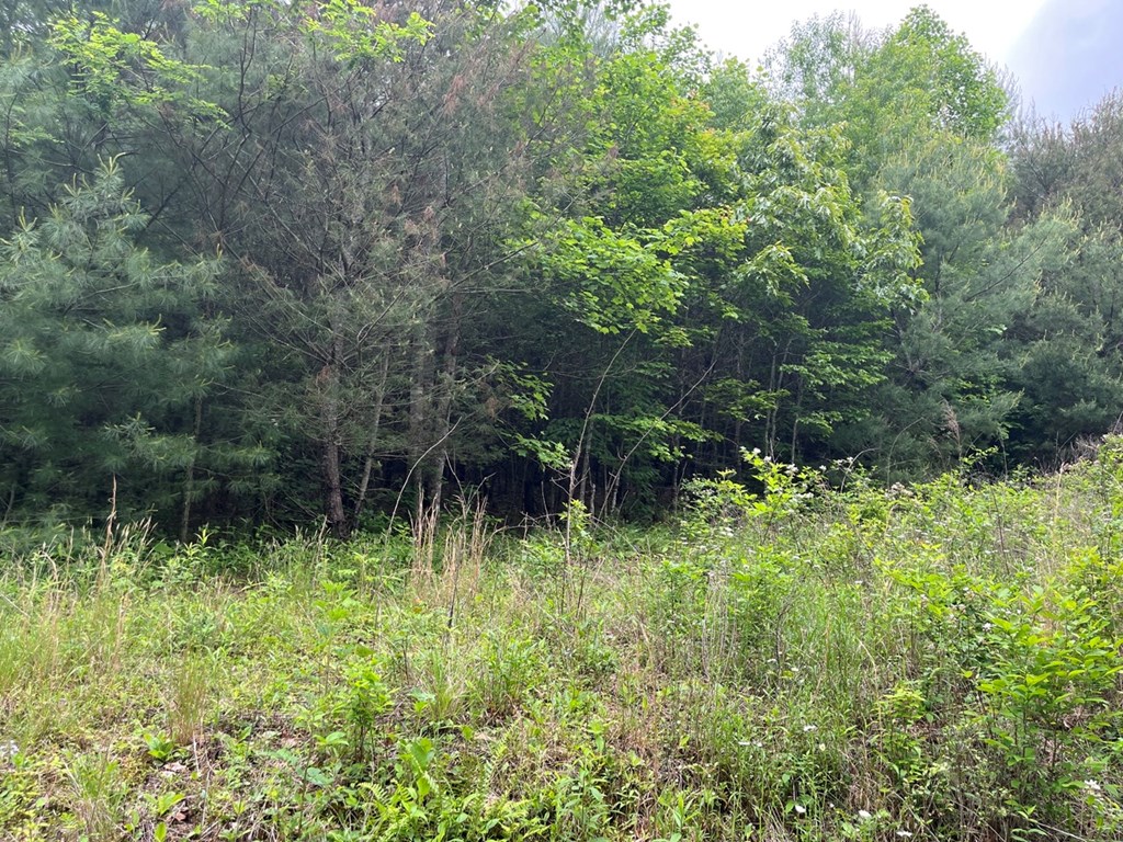 100 Wallace Road Property Photo 12