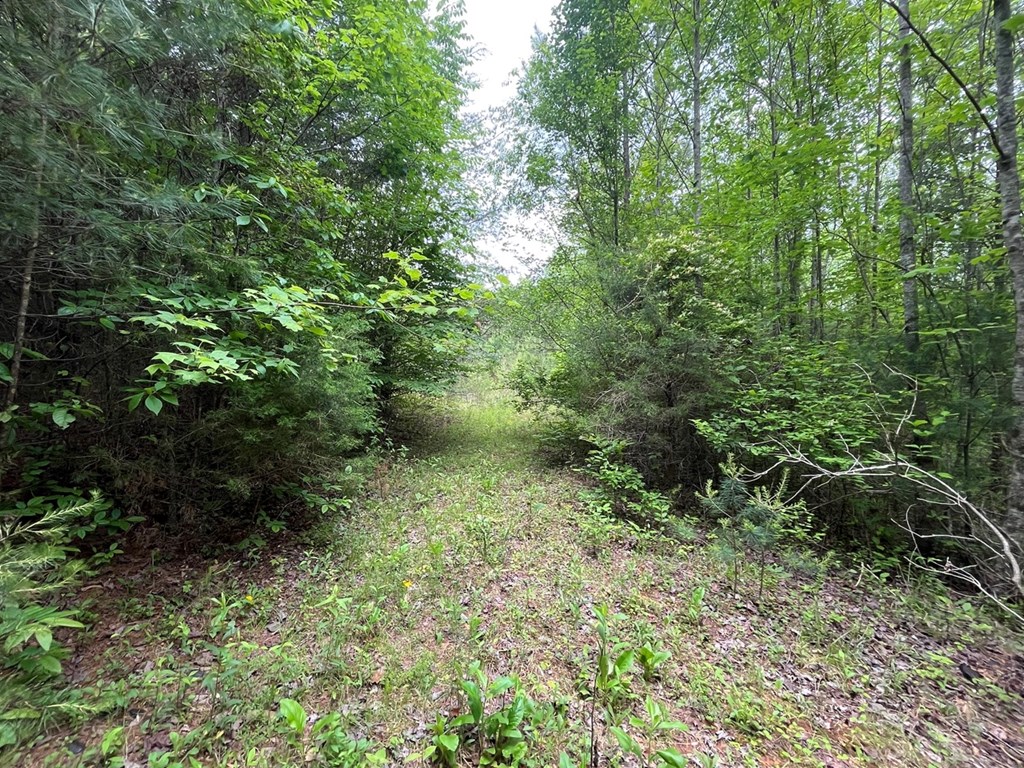 100 Wallace Road Property Photo 16