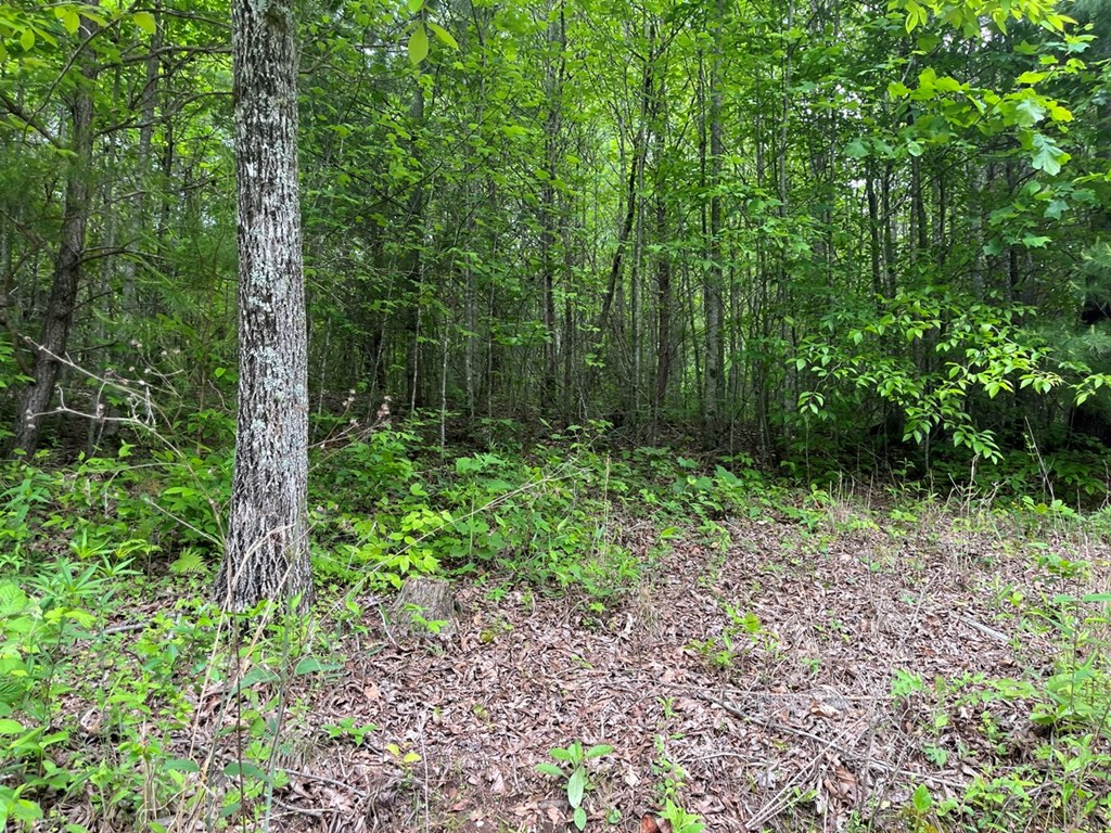 100 Wallace Road Property Photo 18