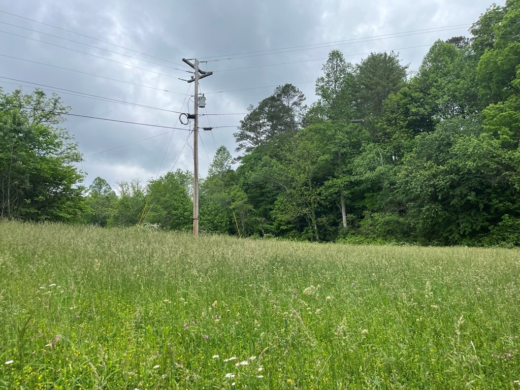 100 Wallace Road Property Photo 20