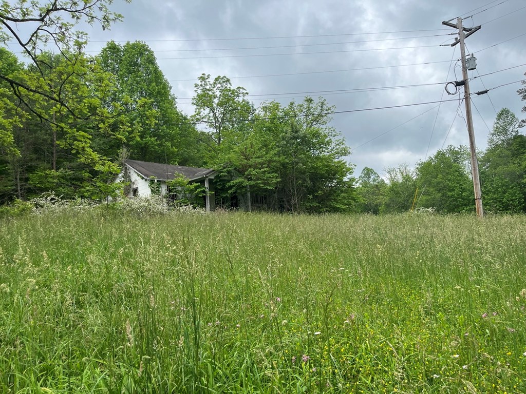 100 Wallace Road Property Photo 21