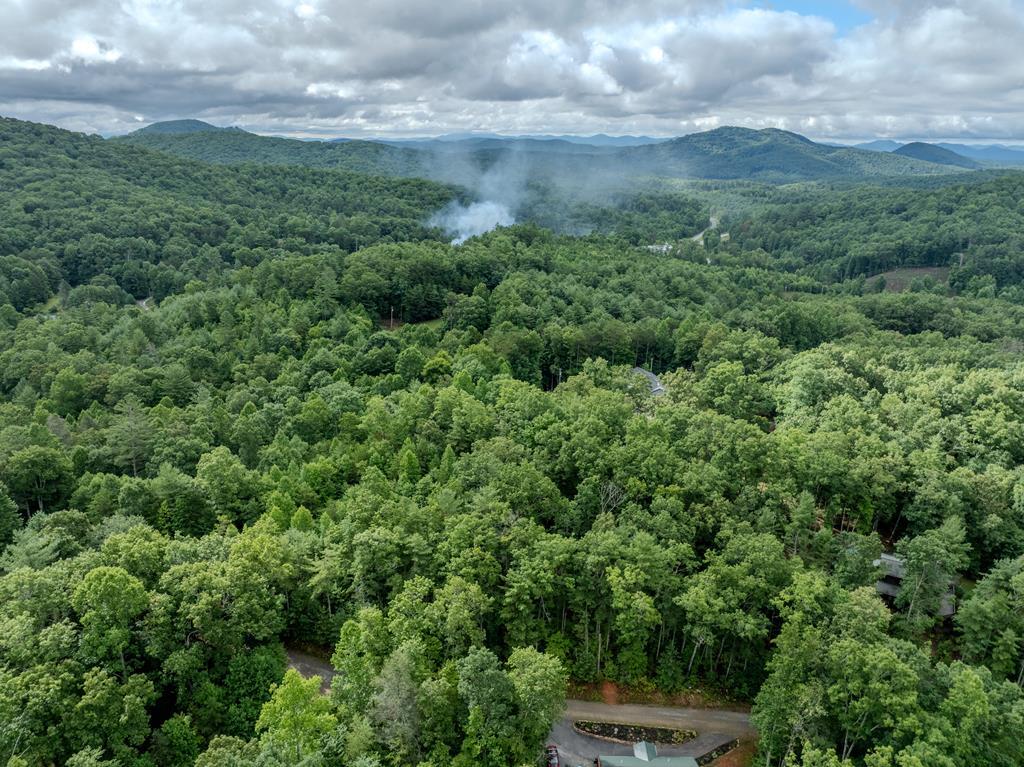 lot 18 Gray Grouse Trail Property Photo 1