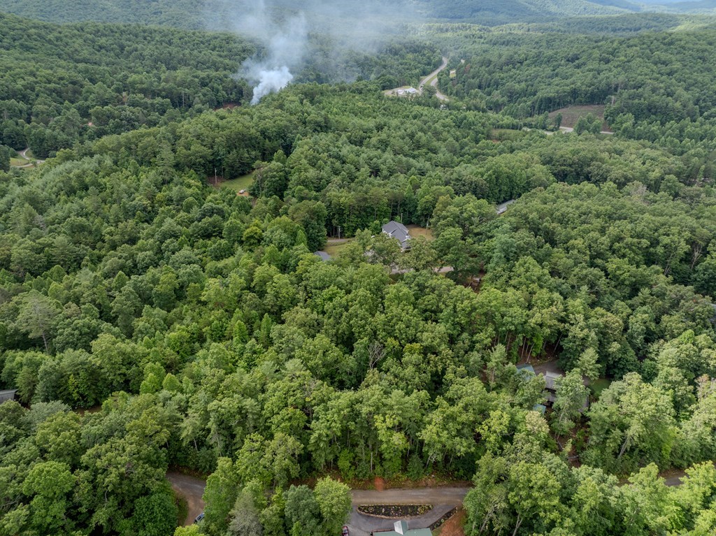 Lot 5 Gray Grouse Trail Property Photo 4