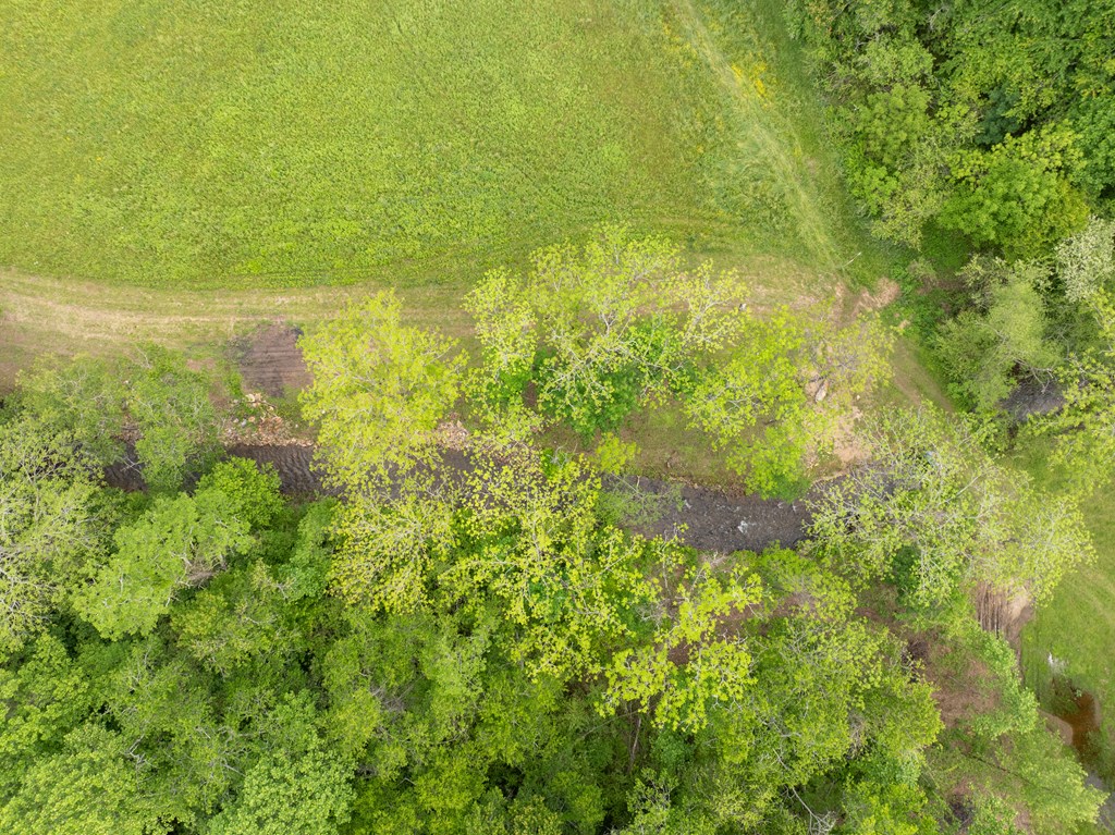 00 Sweetwater Road Property Photo 11
