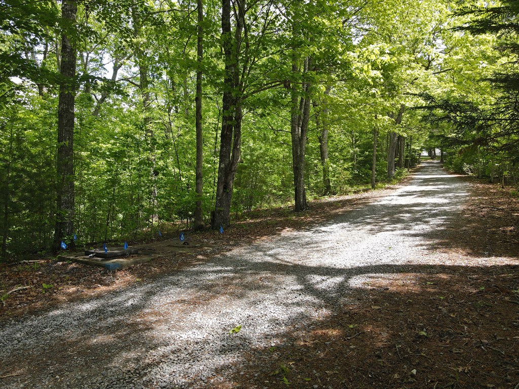 0 Hawkview 4.78 Ac Property Photo 2
