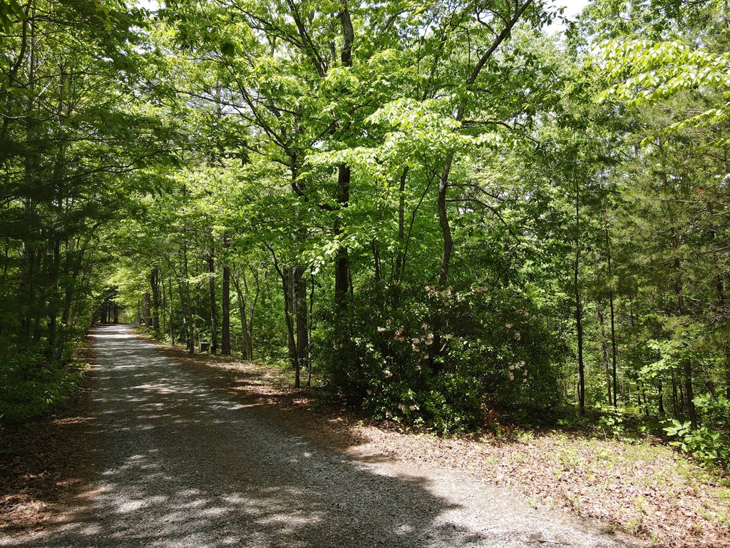 0 Hawkview 4.78 Ac Property Photo 4