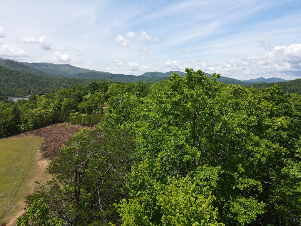 0 Hawkview 4.78 Ac Property Photo 6