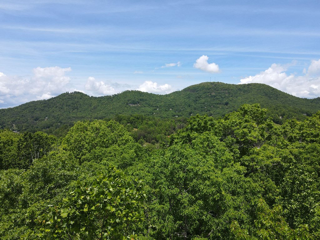 0 Hawkview 4.78 Ac Property Photo 8