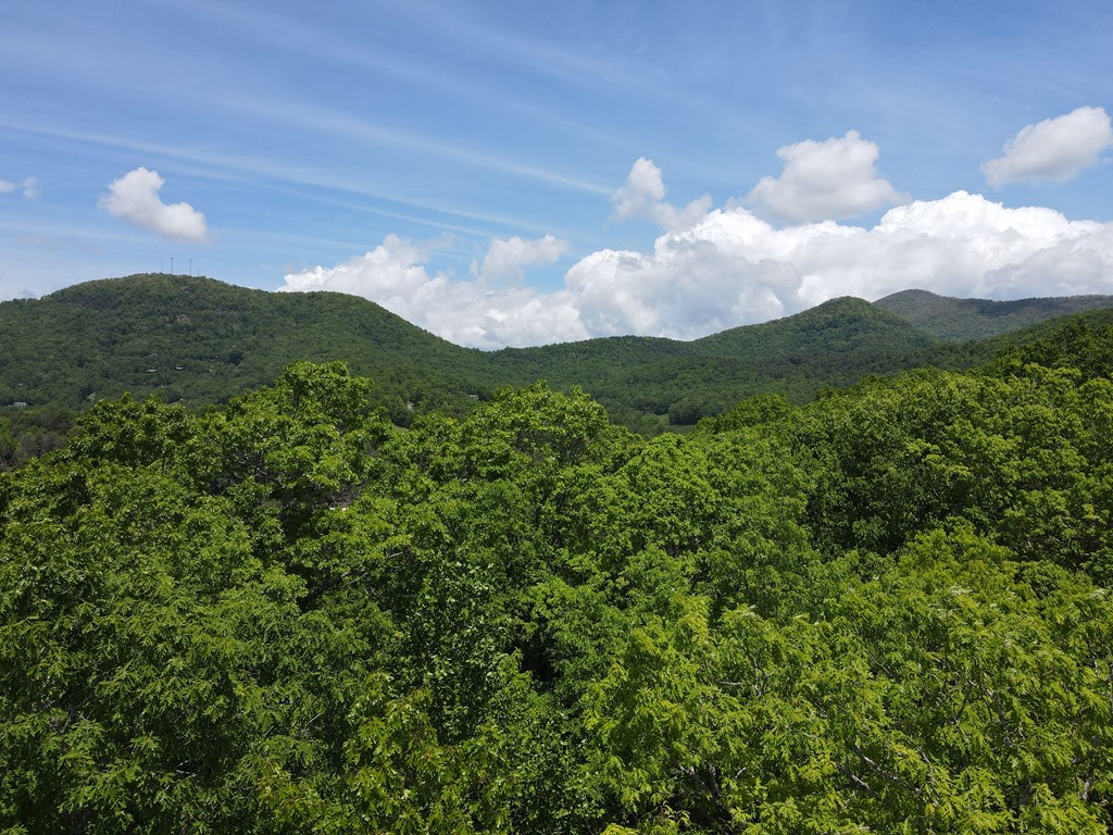 0 Hawkview 4.78 Ac Property Photo 9