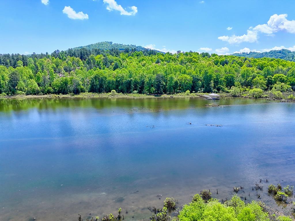 Lot 114 Sandy Lake Lane Property Photo 1