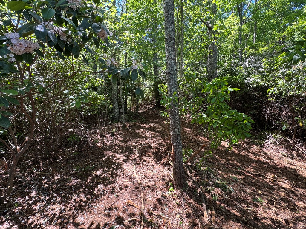 79 Forrest Edge Drive Property Photo 5