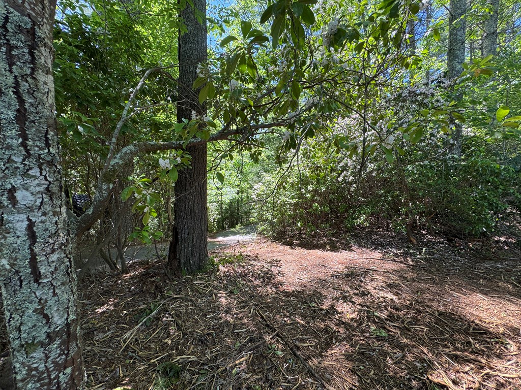 79 Forrest Edge Drive Property Photo 8