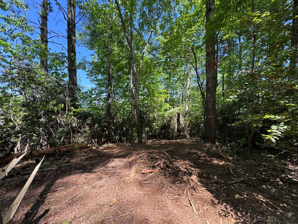 79 Forrest Edge Drive Property Photo 10