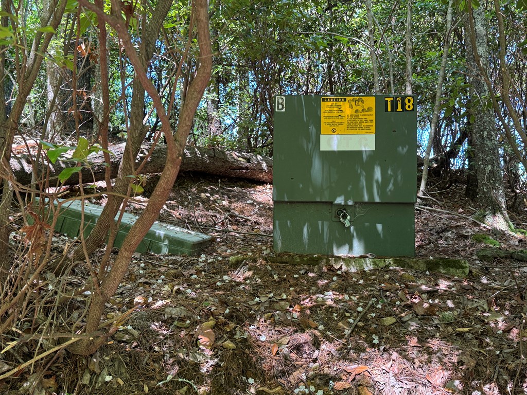 79 Forrest Edge Drive Property Photo 14