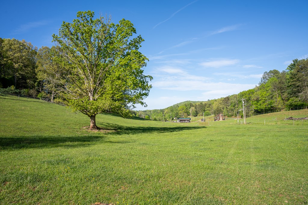 564 Wright Road Property Photo 31