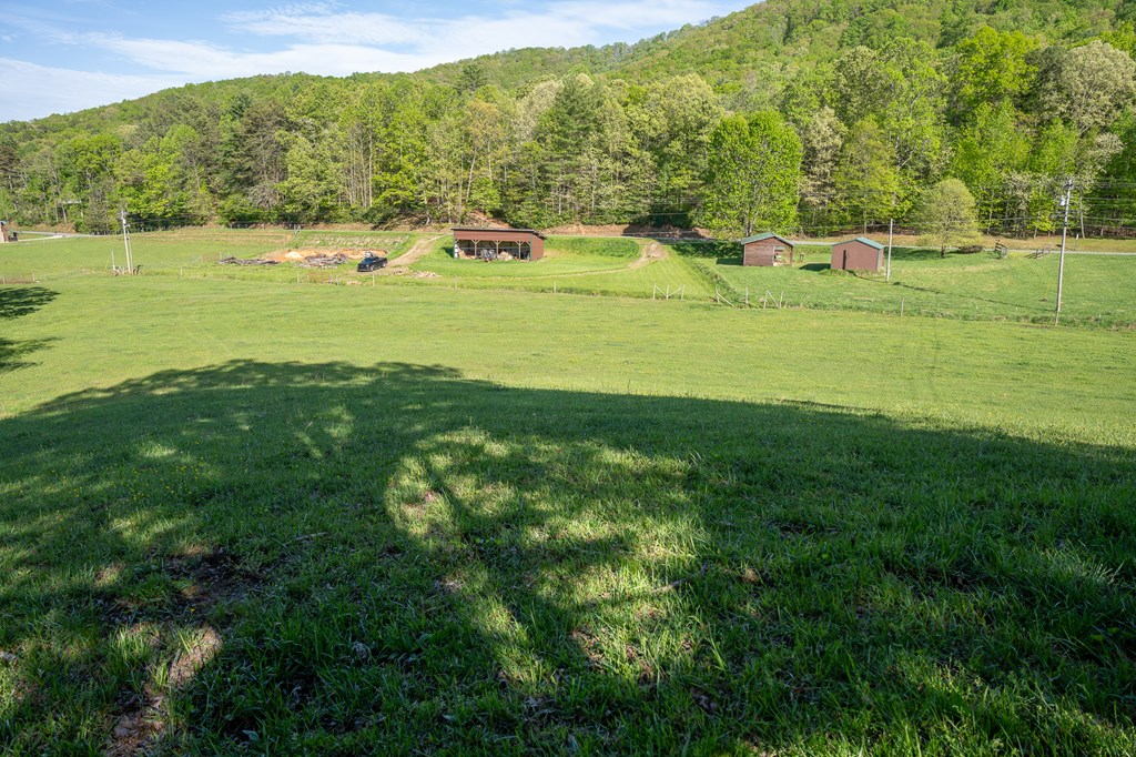 564 Wright Road Property Photo 33