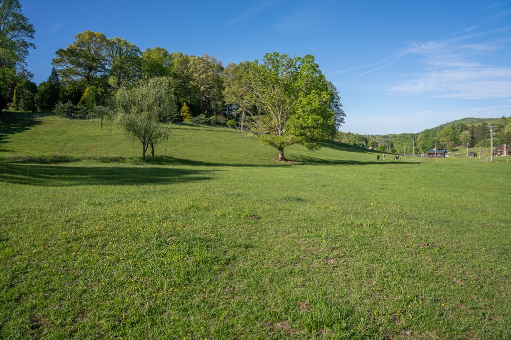 564 Wright Road Property Photo 35
