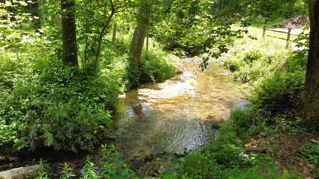 Tract 1 Timber Ridge Road Property Photo 3