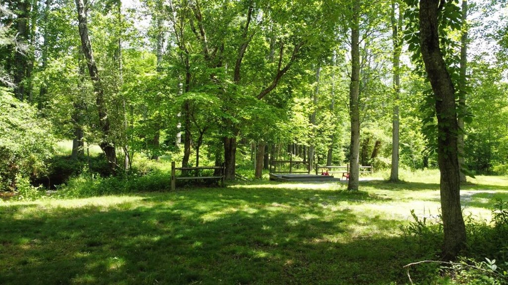 Tract 1 Timber Ridge Road Property Photo 4