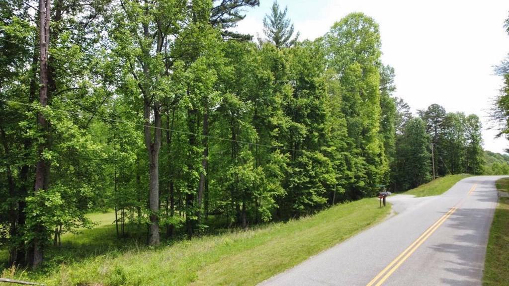 Tract 1 Timber Ridge Road Property Photo 6