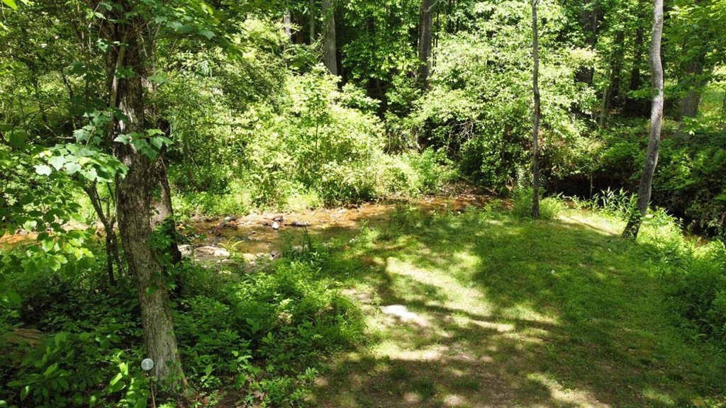 Tract 1 Timber Ridge Road Property Photo 14