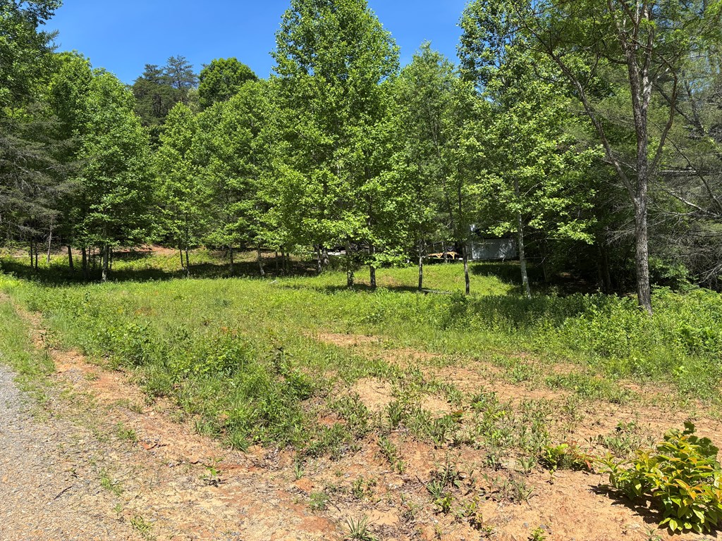 15 Merlin Trail Property Photo 2