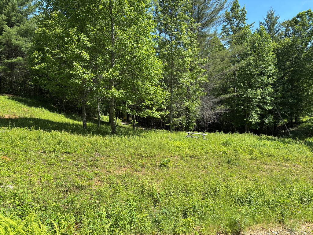 15 Merlin Trail Property Photo 3