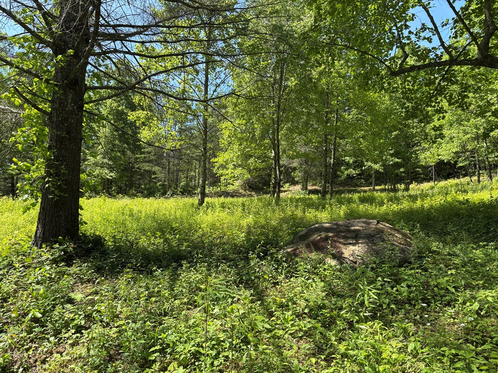 15 Merlin Trail Property Photo 4