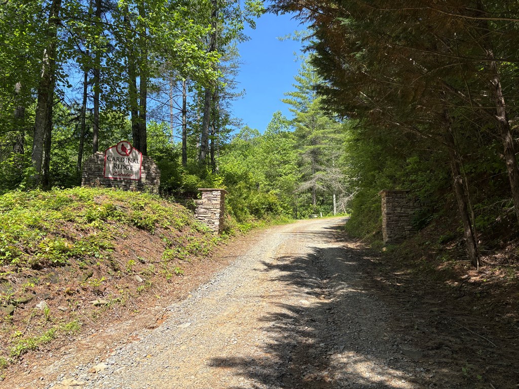 15 Merlin Trail Property Photo 6