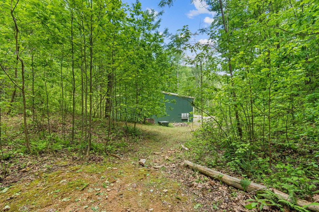 55 Eagles Nest Trail Property Photo 5