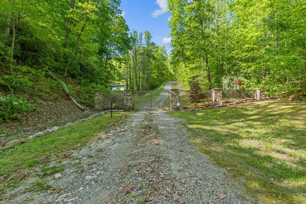 55 Eagles Nest Trail Property Photo 6