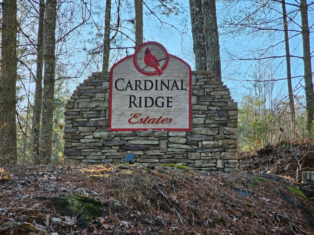 16 Merlin Trail Property Photo 7