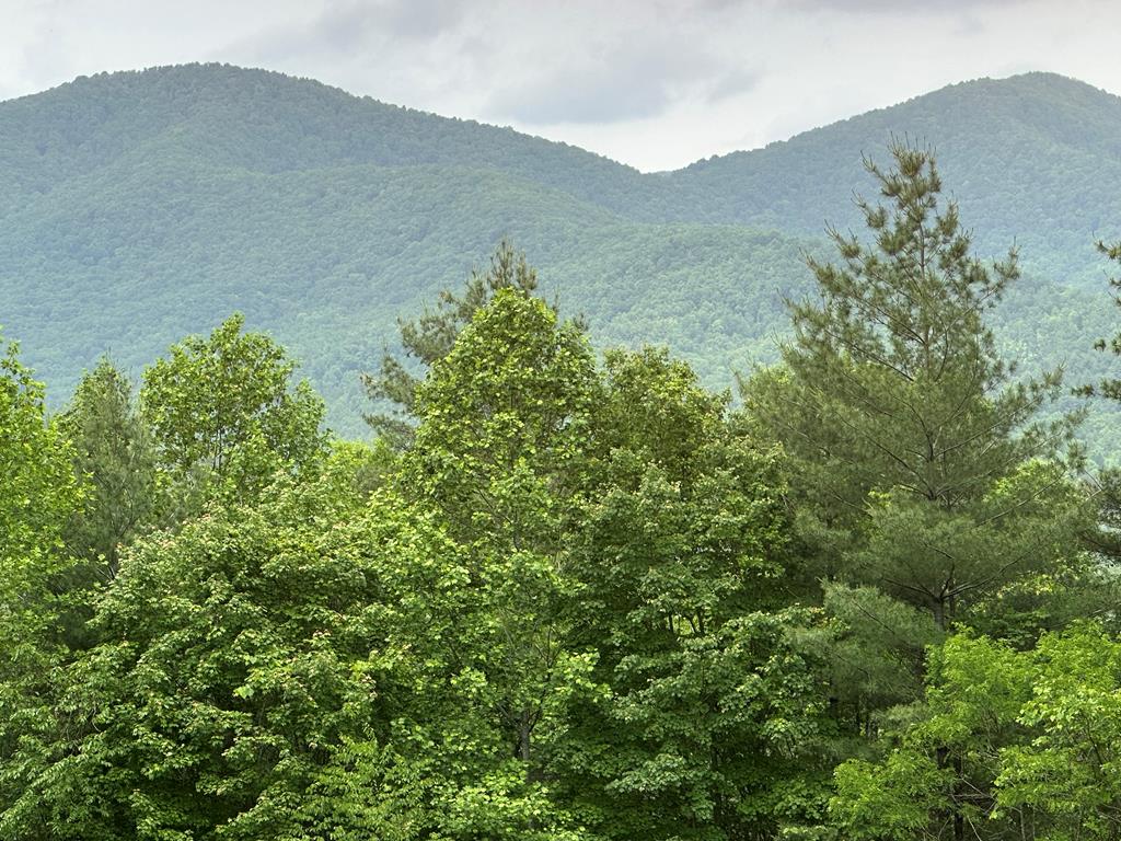 00 Top Horseshoe Ridge Property Photo 1