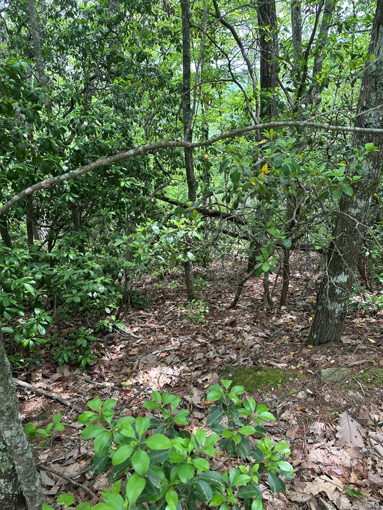 00 Top Horseshoe Ridge Property Photo 2
