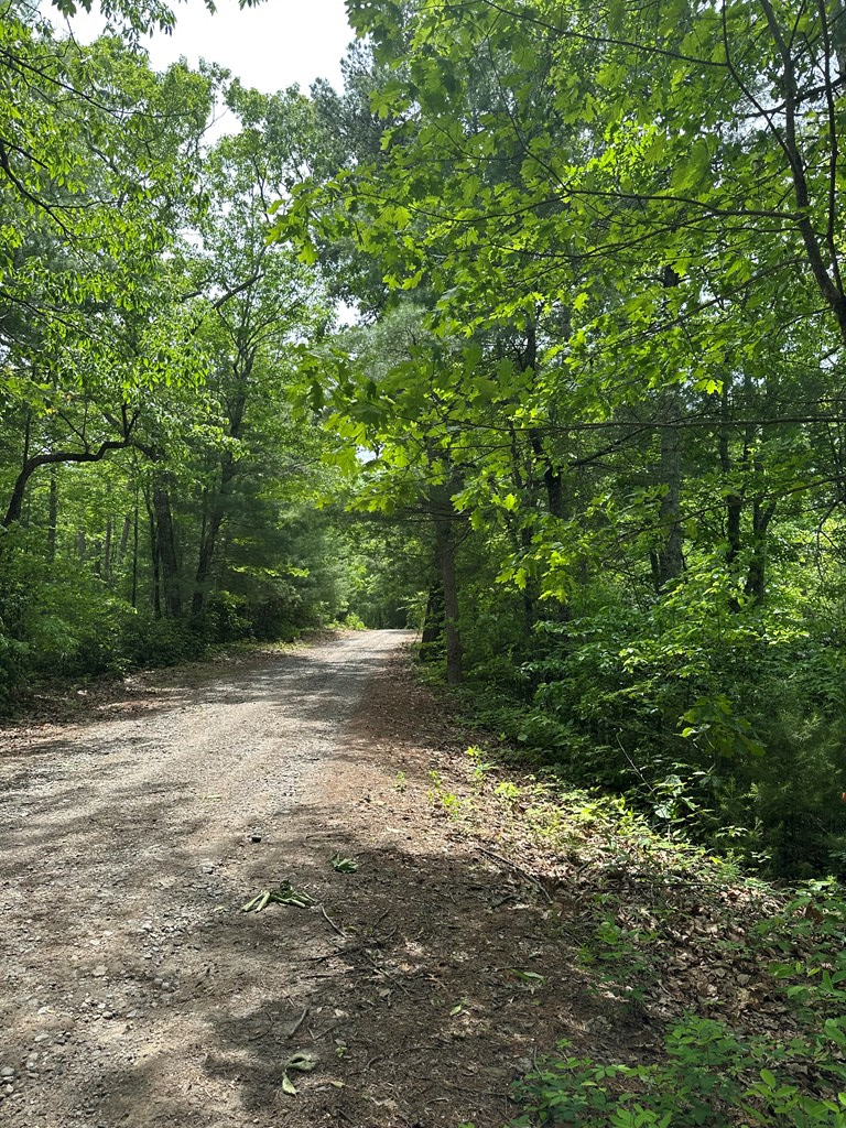 00 Top Horseshoe Ridge Property Photo 4