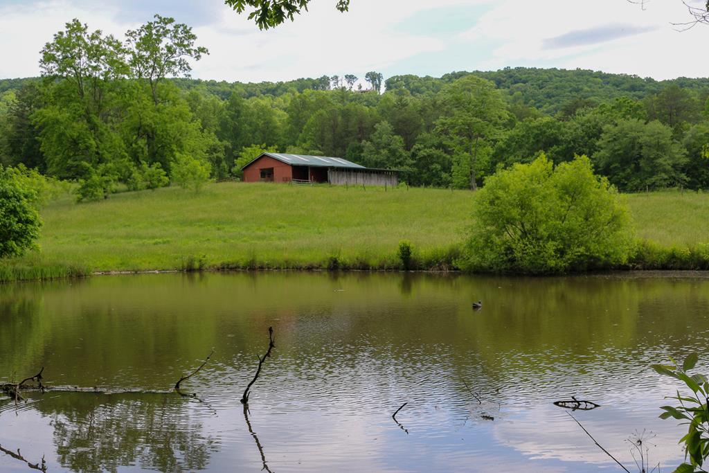 440 Hamby Road Property Photo 1