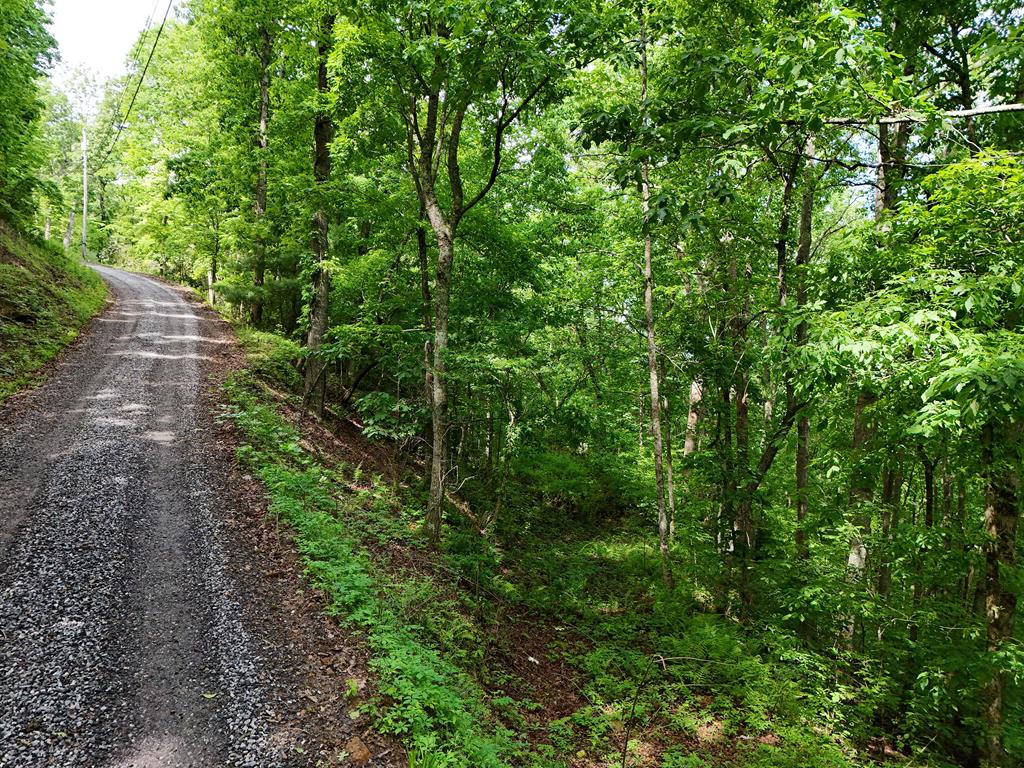 14B&14C Rainbow Ridge Property Photo 1