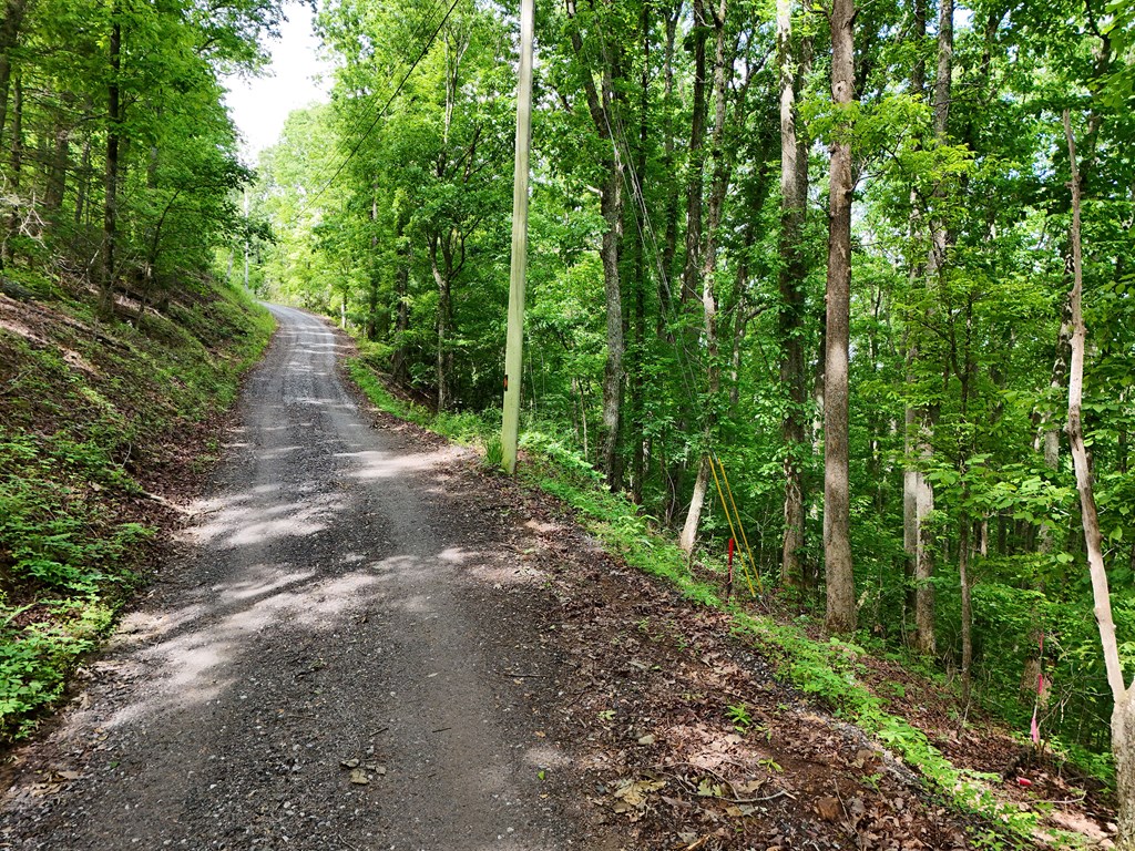 14b&14c Rainbow Ridge Property Photo 2