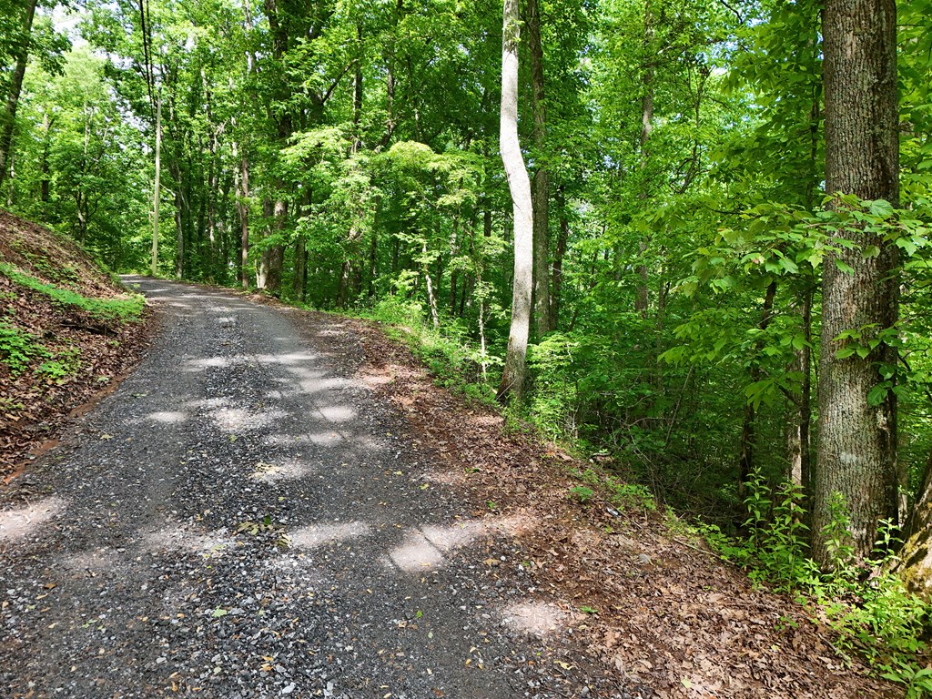 14b&14c Rainbow Ridge Property Photo 3