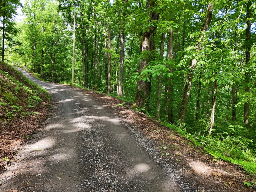 14b&14c Rainbow Ridge Property Photo 4