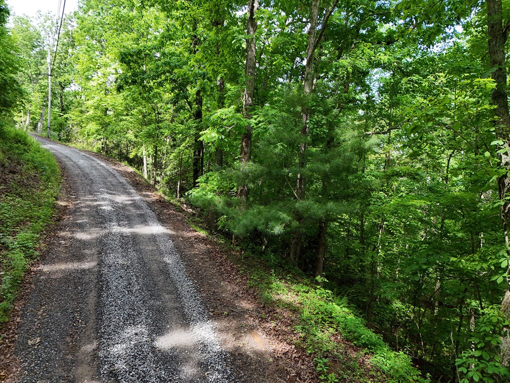 14b&14c Rainbow Ridge Property Photo 5