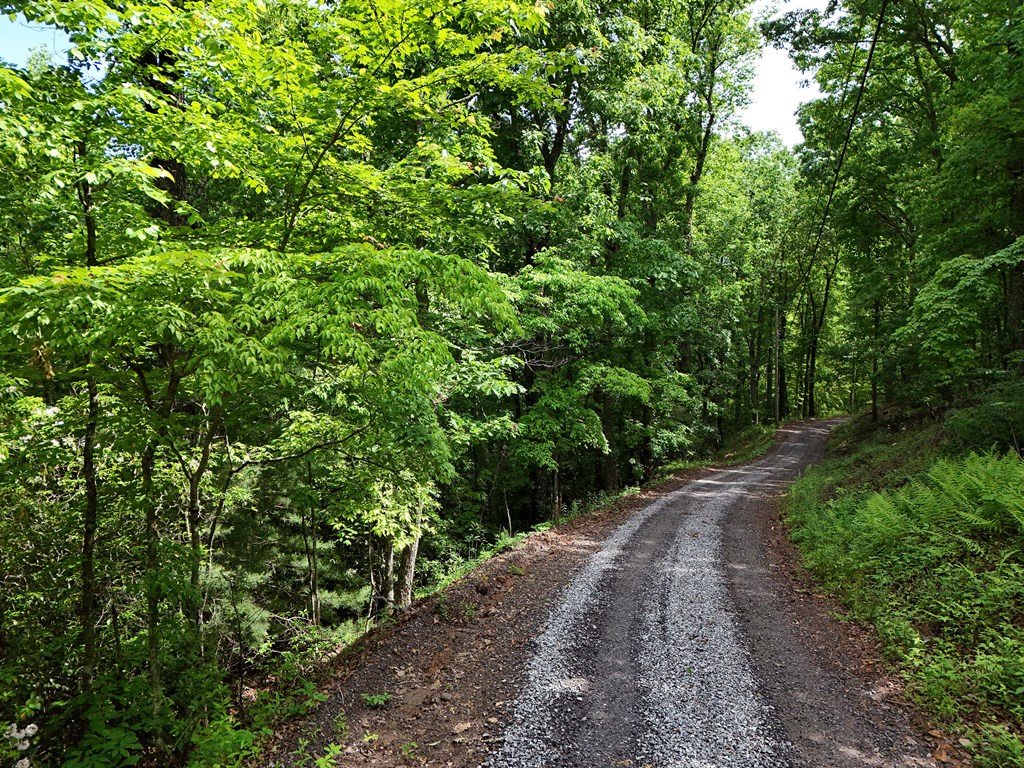 14b&14c Rainbow Ridge Property Photo 6