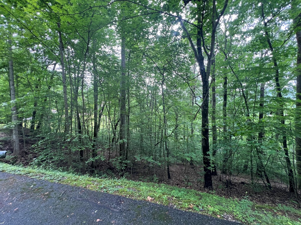 0 Ash Branch Circle Property Photo 3