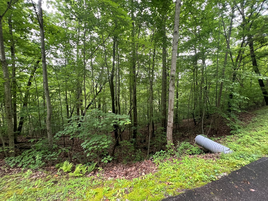 0 Ash Branch Circle Property Photo 4